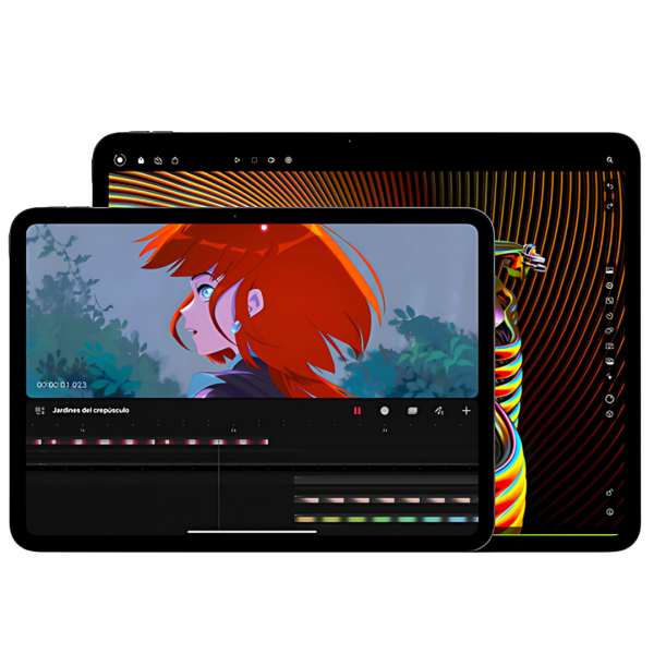 iPad Pro M4 (13", WIFI)